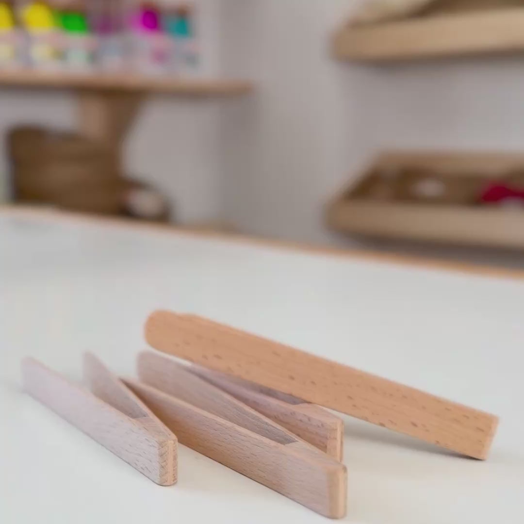 Beech clip 13 cm
