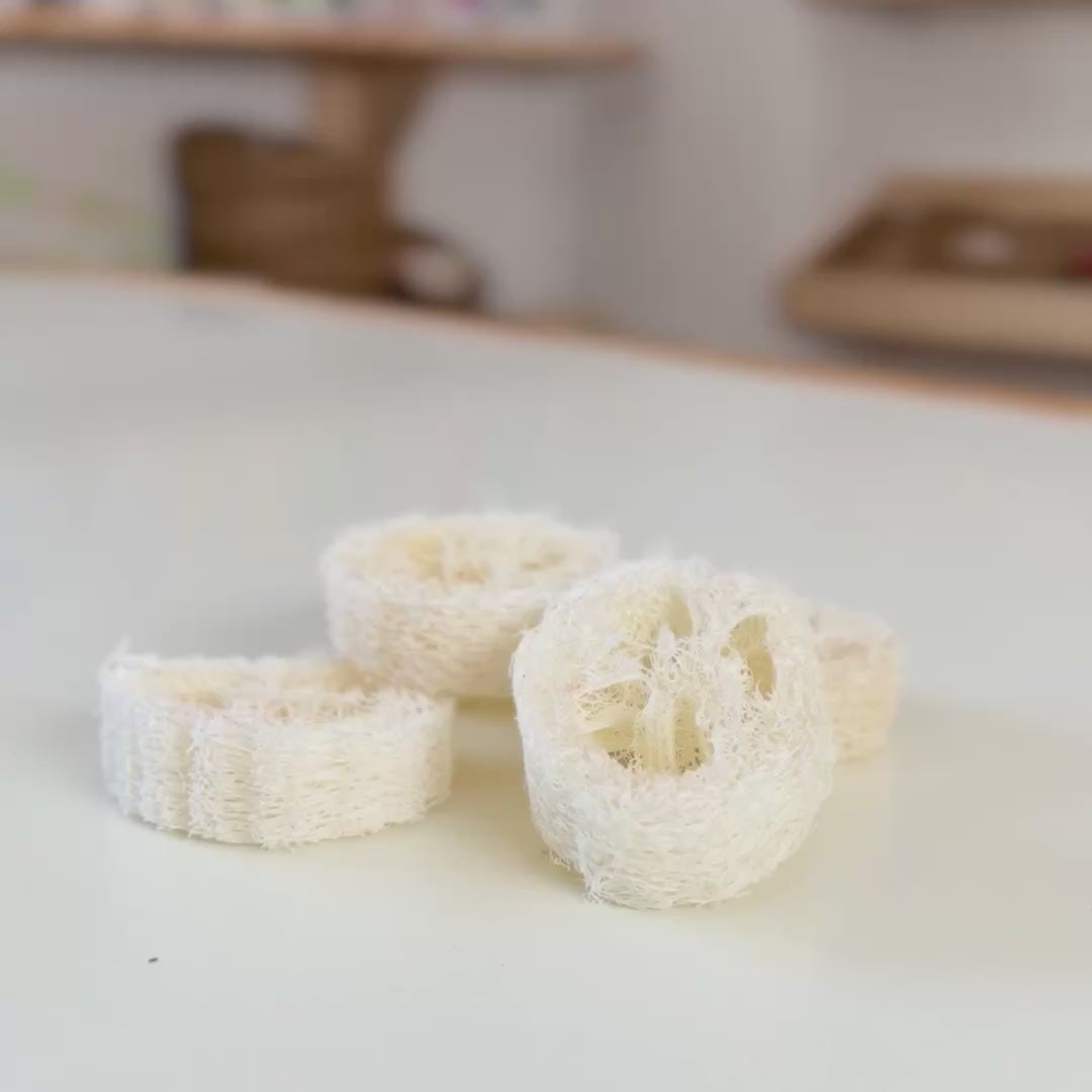 Luffa Schwammscheibe