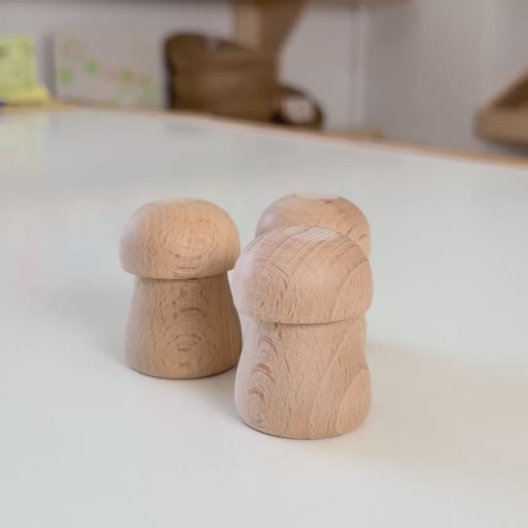 wood mushroom