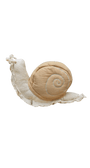 Cojín caracol (OUTLET) - MINIPIU